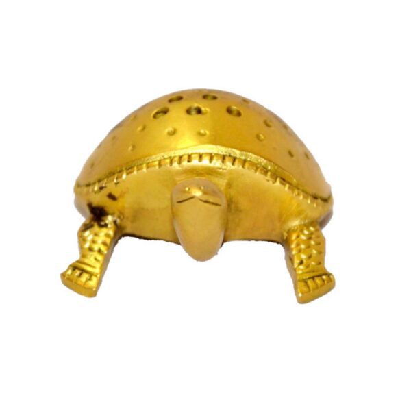 Tortoise