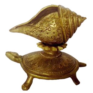 Shankh on Tortoise