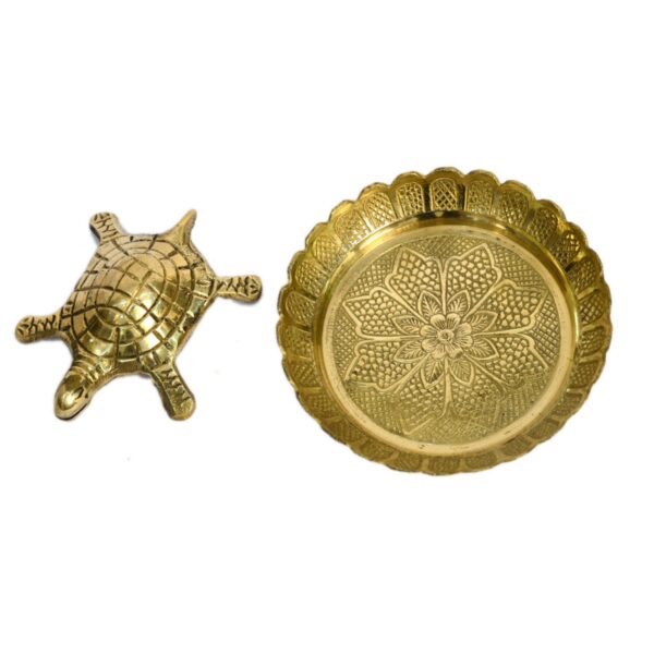 Tortoise With Plate