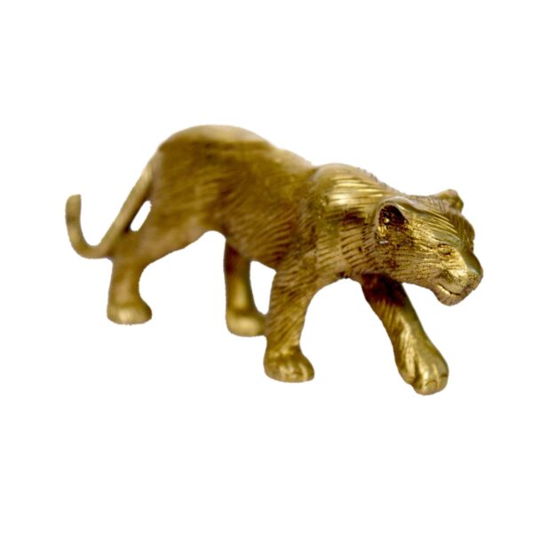 Lioness