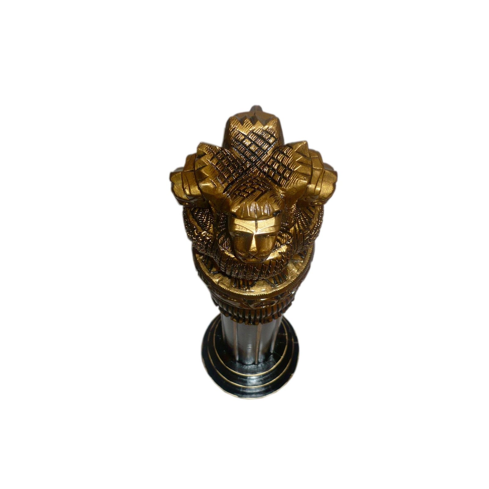 Ashok Pillar Side View Ashok Pillar