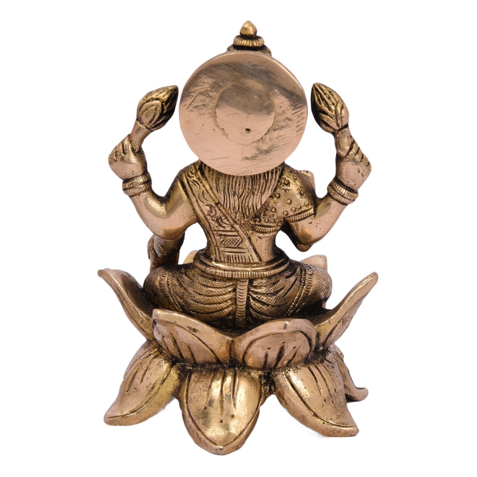 Laxmi Back View Laxmi