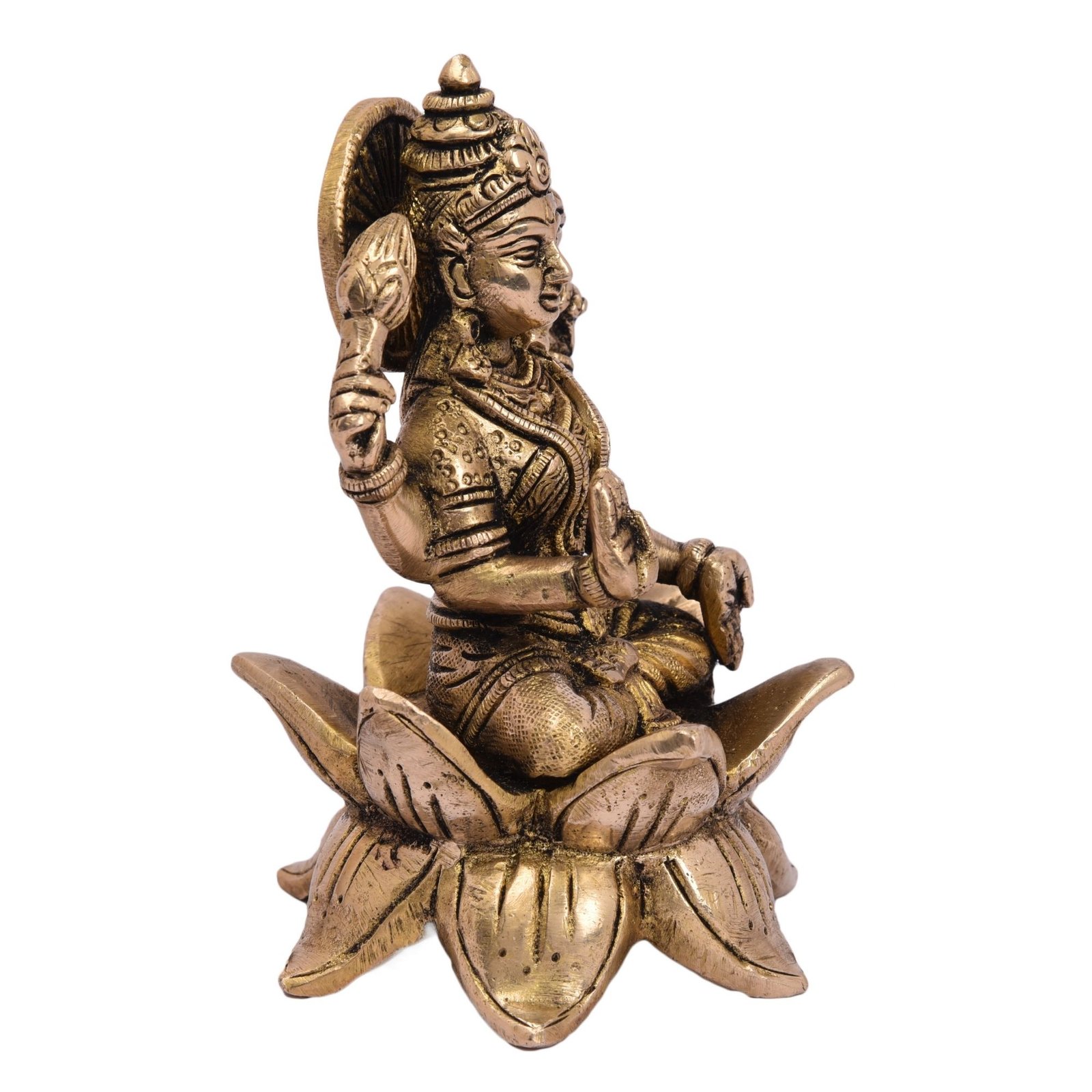 Laxmi Side View Laxmi