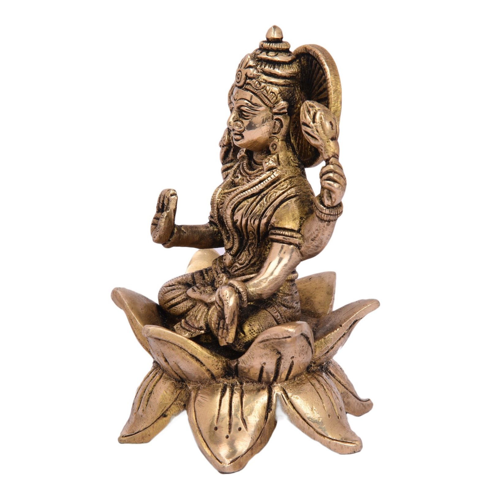 Laxmi Side View Laxmi