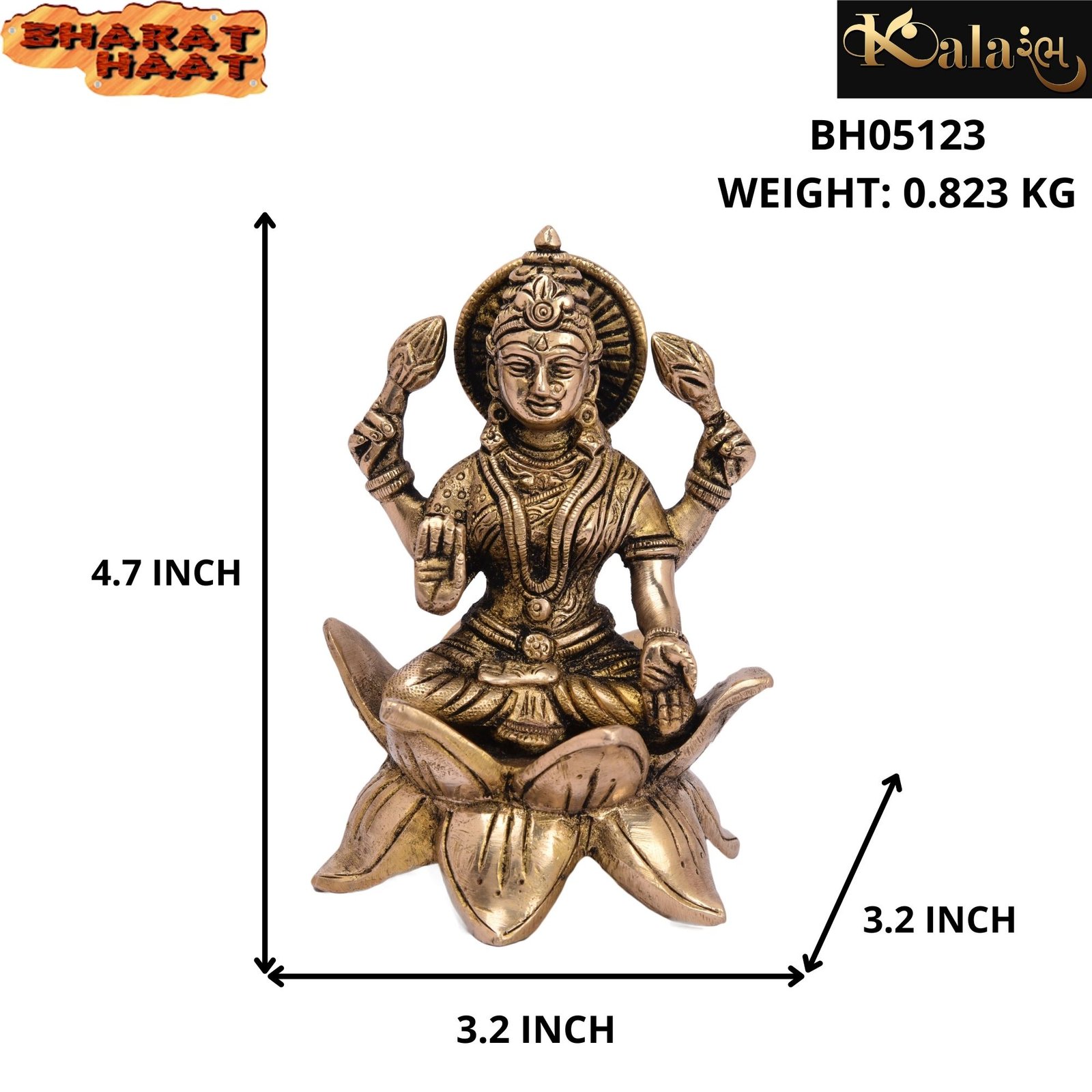 Laxmi Size Photo Laxmi