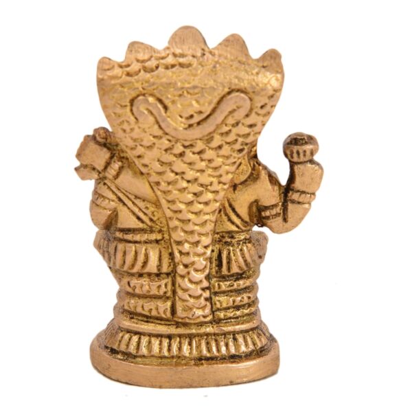 Vishnu Laxmi