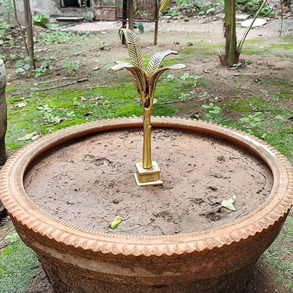 Satyanarayan Pooja Banana Tree