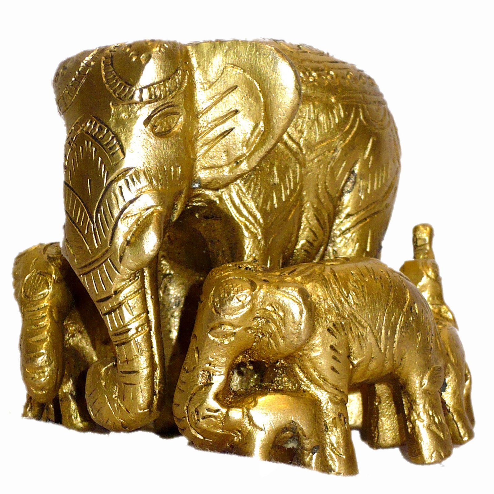 Elephant Family Elephant Family