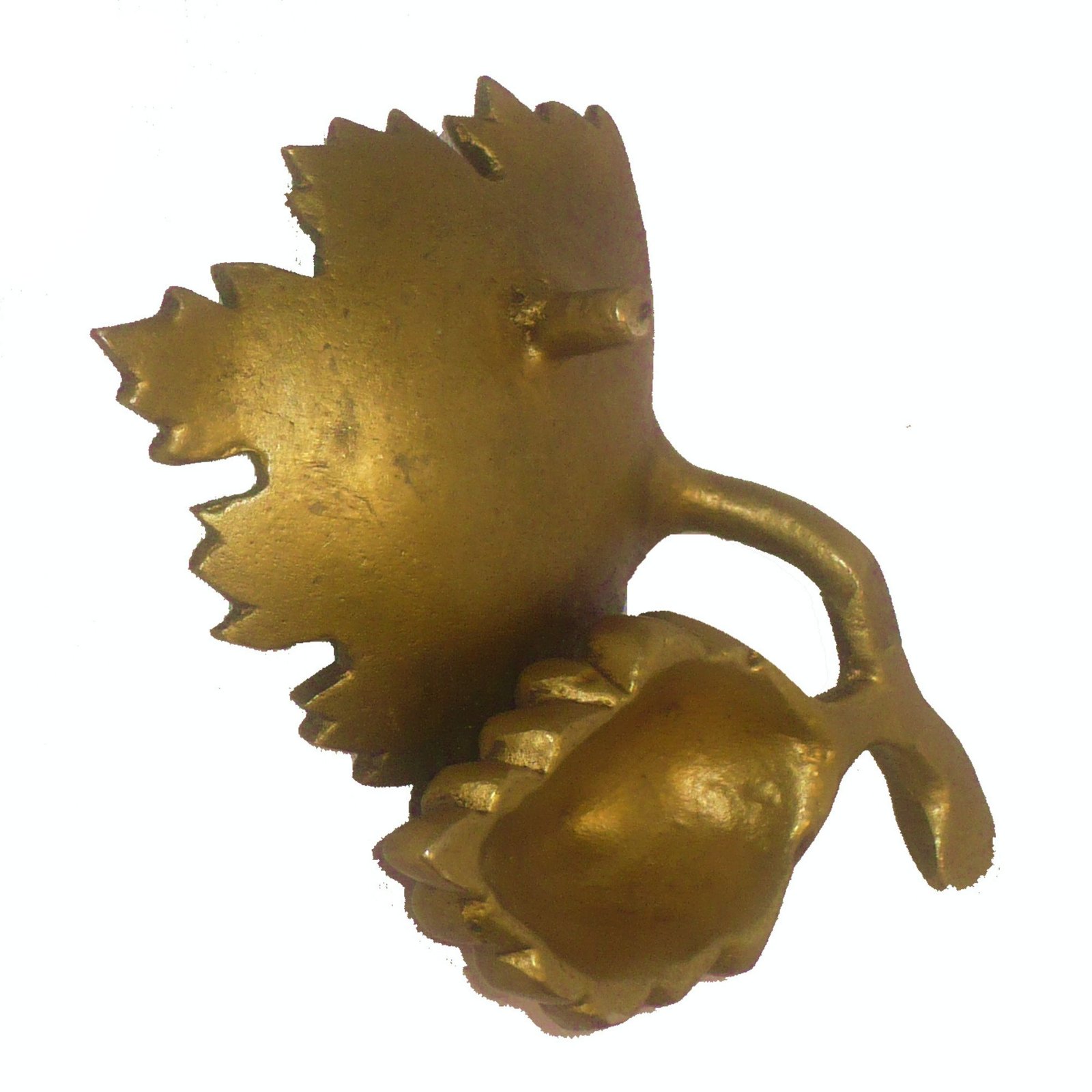 Pan Divi Back View Pan Divi