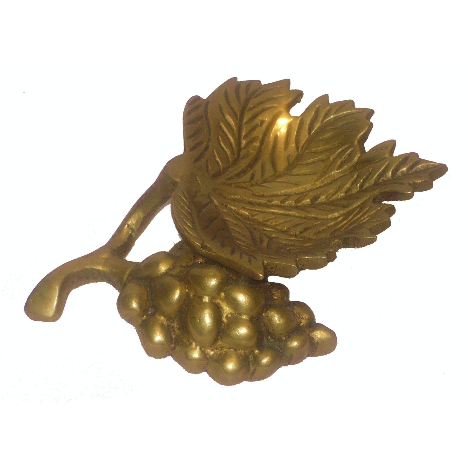 Pan Divi Side View Pan Divi