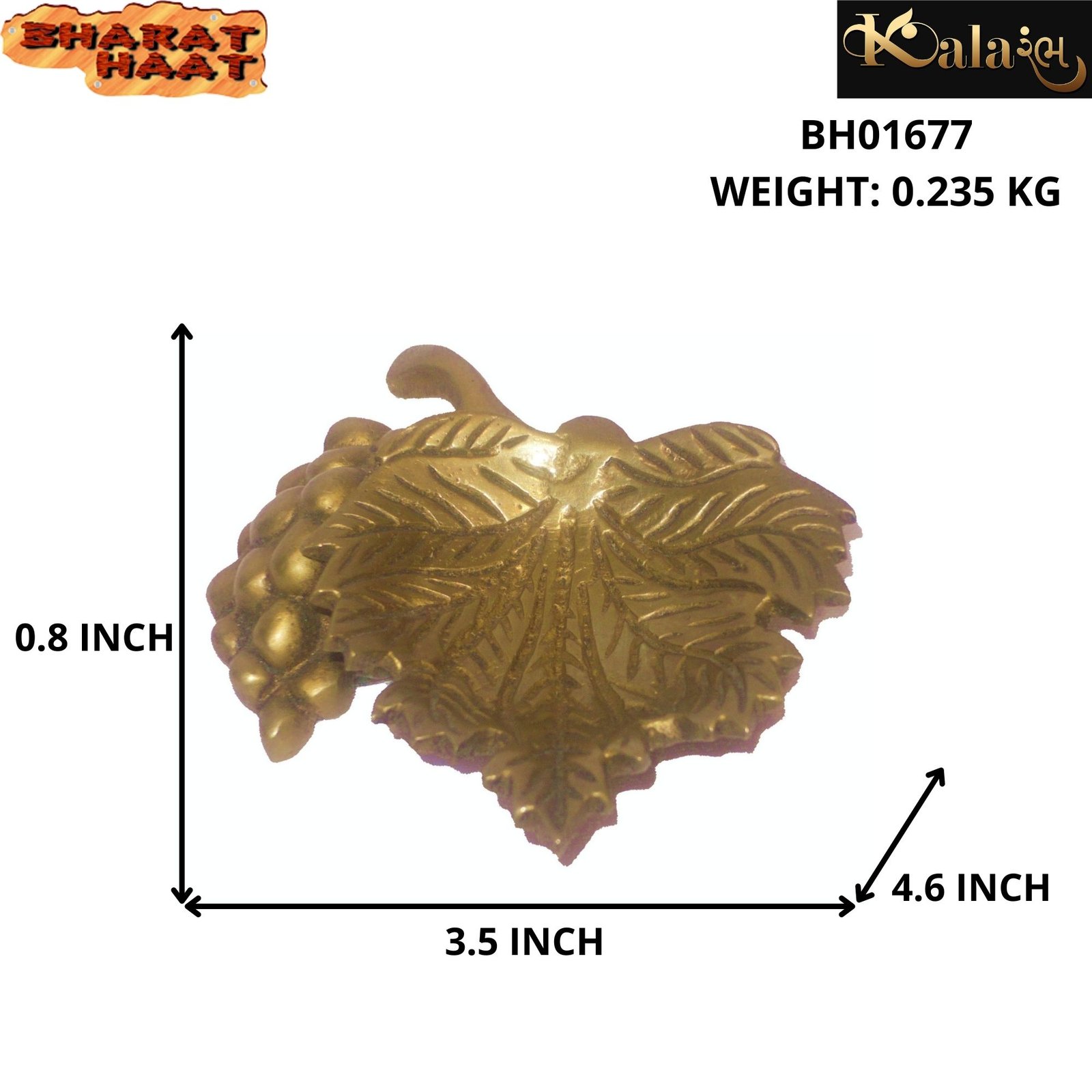 Pan Divi Size Photo Pan Divi