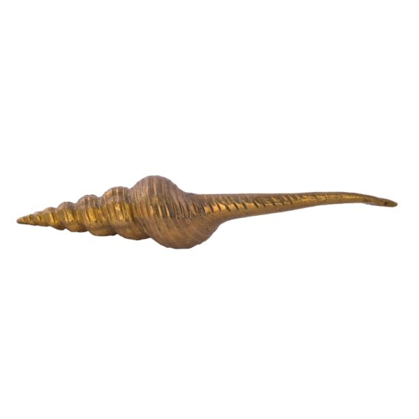 Shankh