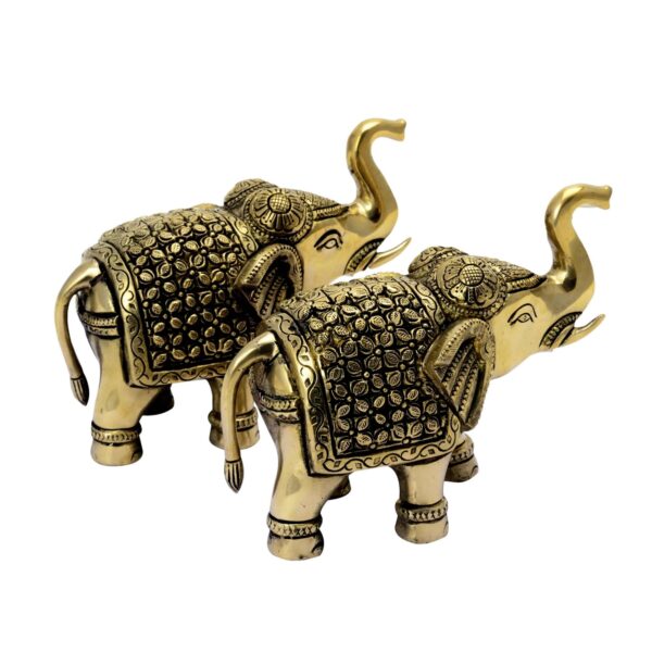 Elephant Pair