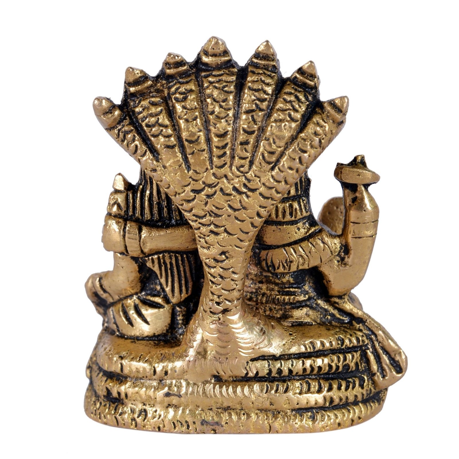 Vishnu Lakshmi Back View Vishnu Lakshmi