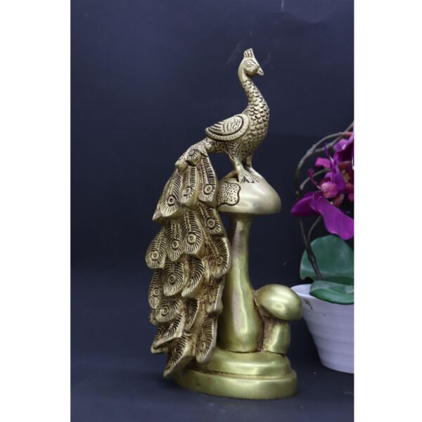 Peacock Pair