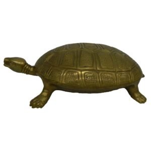 Tortoise