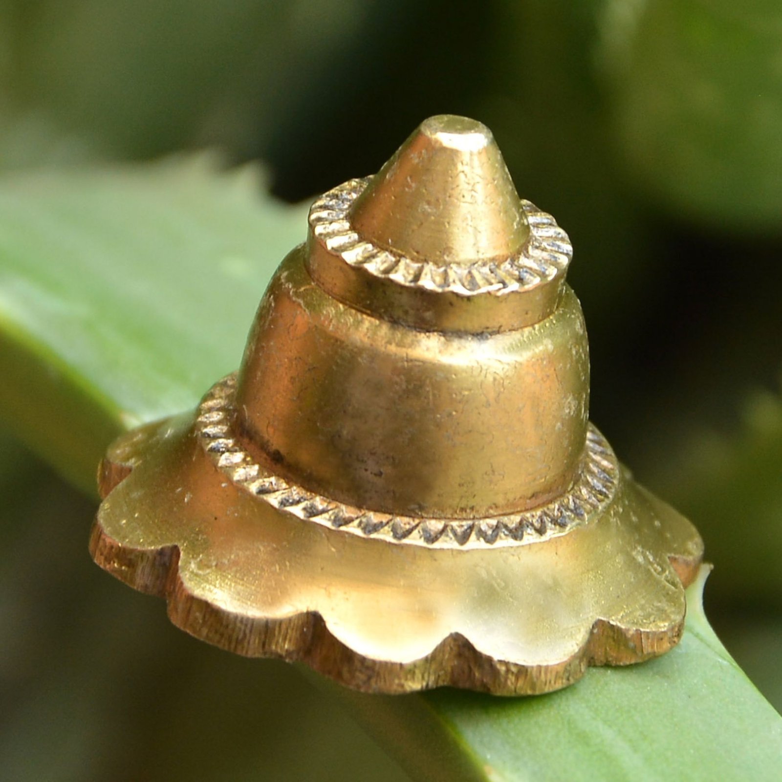 Door Design Door Design