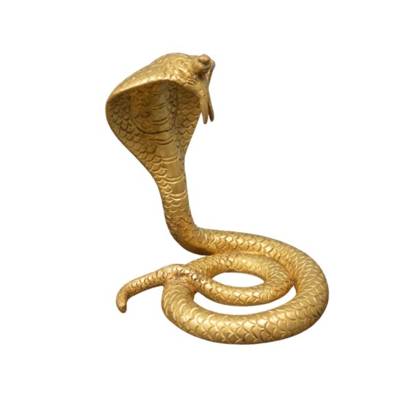 Snake Goga Maharaj