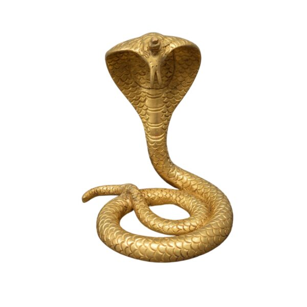 Snake Goga Maharaj
