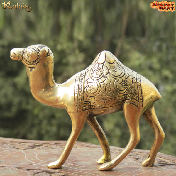 Camel Idol