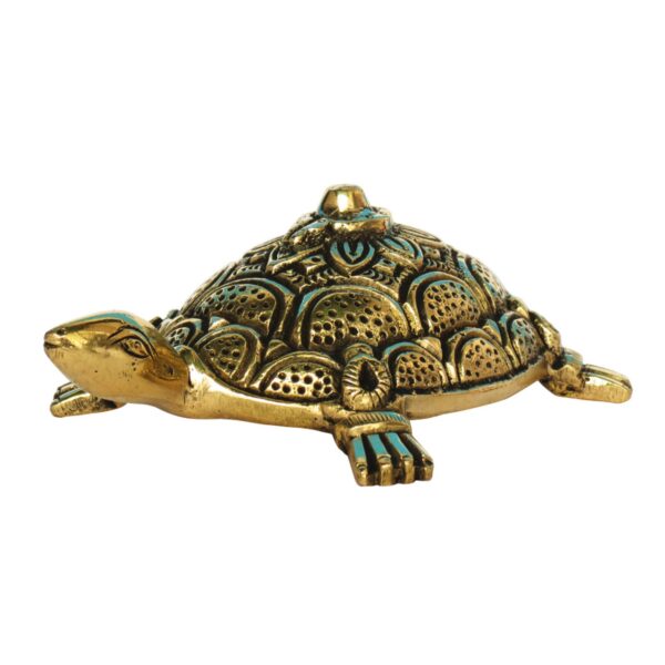 Brass Tortoise