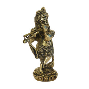 Krishna Standing Idol BH08697_2