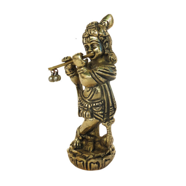 Krishna Standing Idol BH08697_3