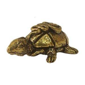 Small Tortoise BH08728_5