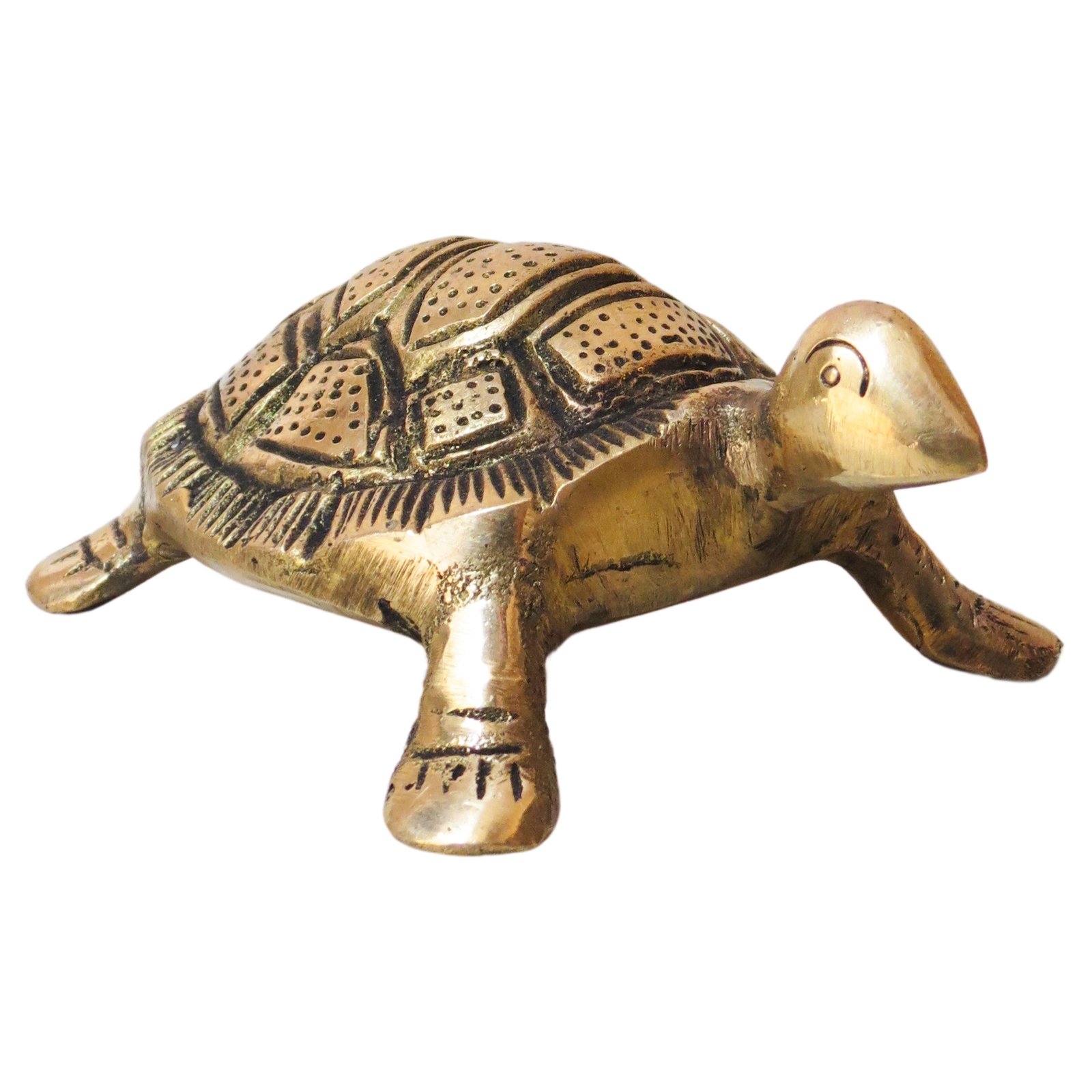 Brass Tortoise BH08847_1 Brass Tortoise