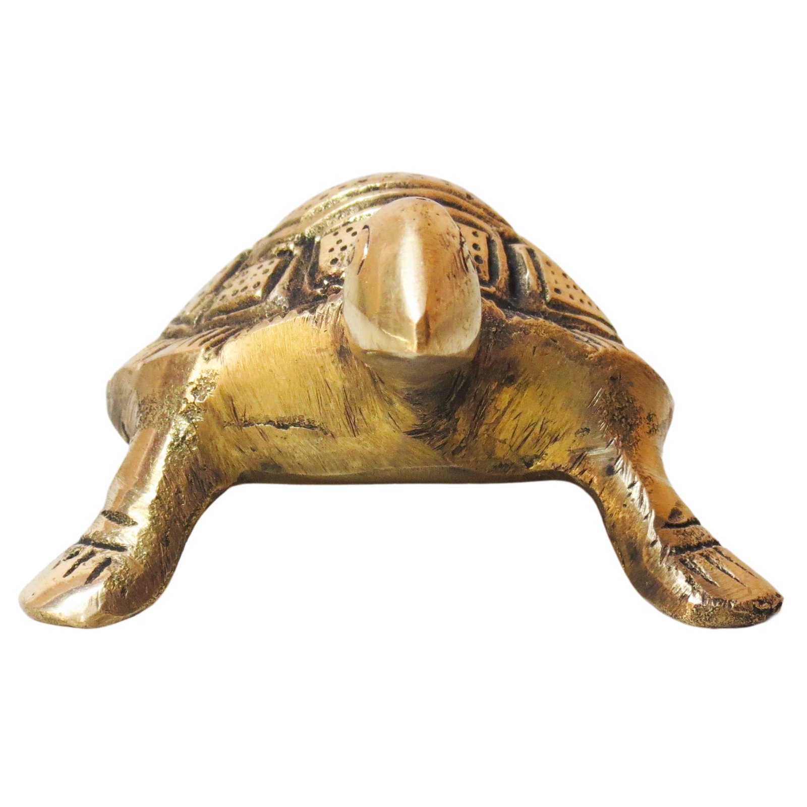 Brass Tortoise BH08847_2 Brass Tortoise