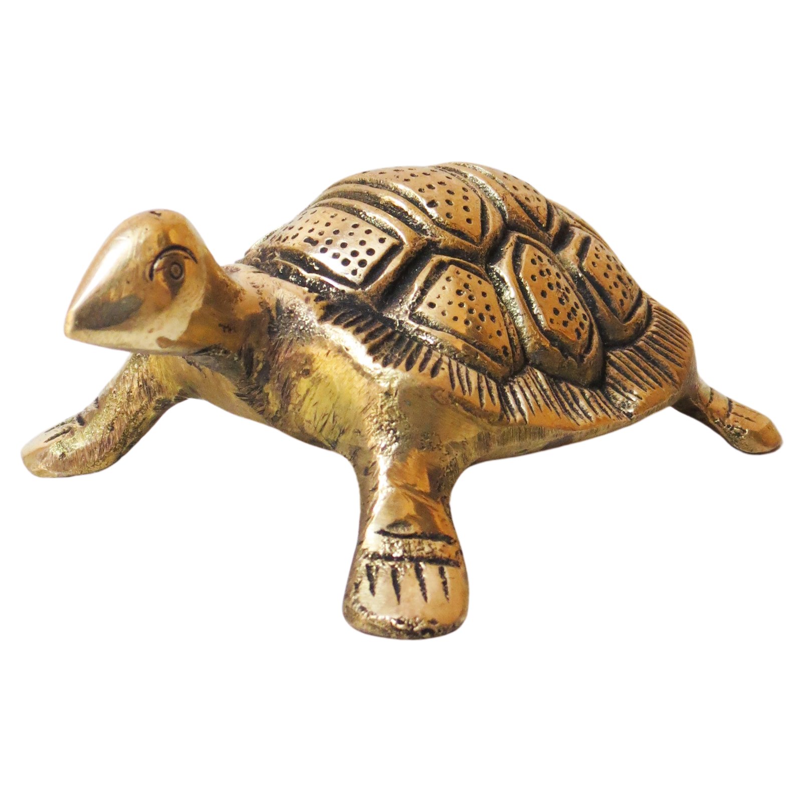 Brass Tortoise BH08847_3 Brass Tortoise