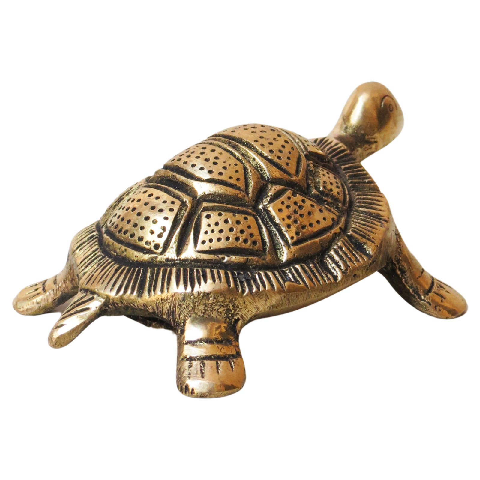 Brass Tortoise BH08847_4 Brass Tortoise