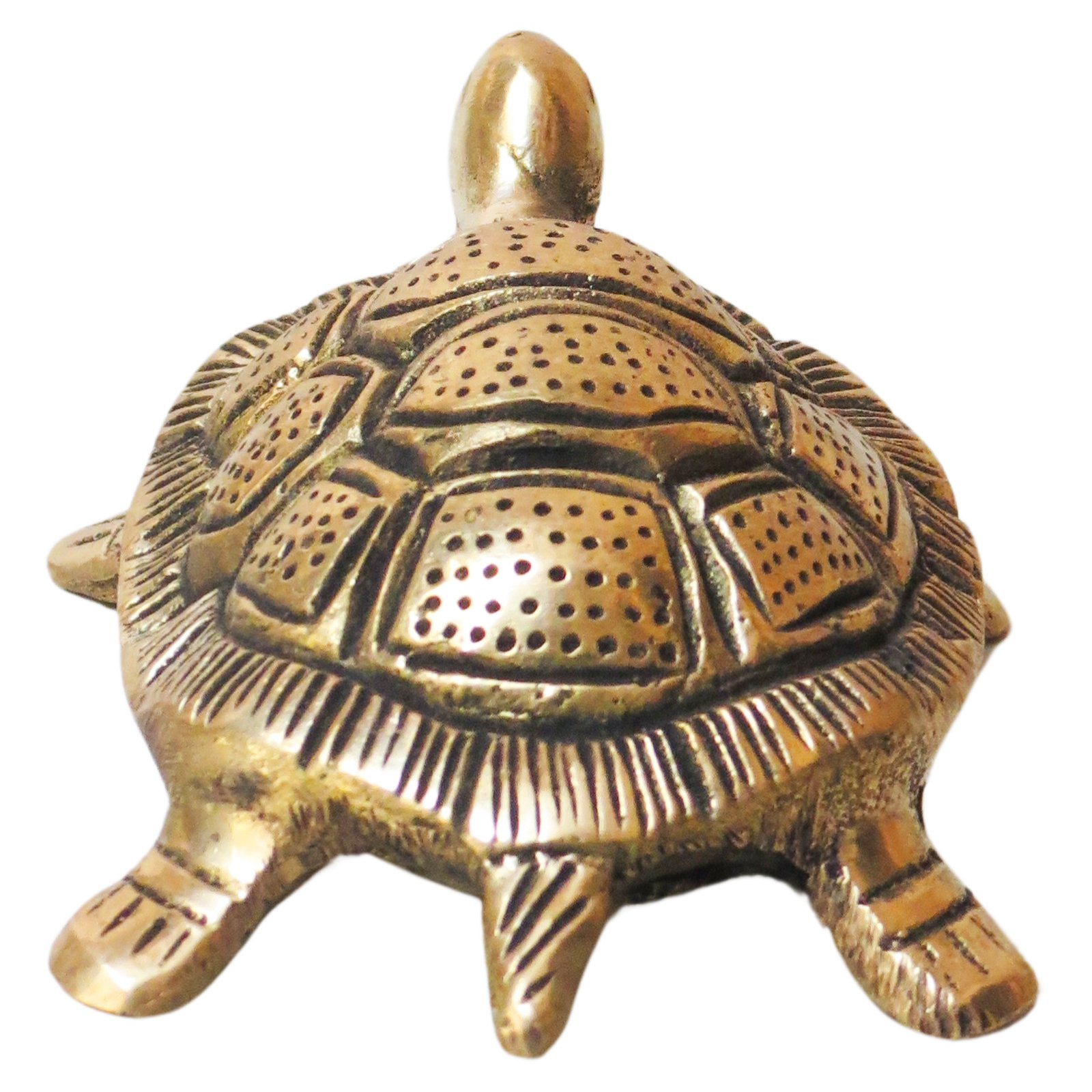 Brass Tortoise BH08847_5 Brass Tortoise