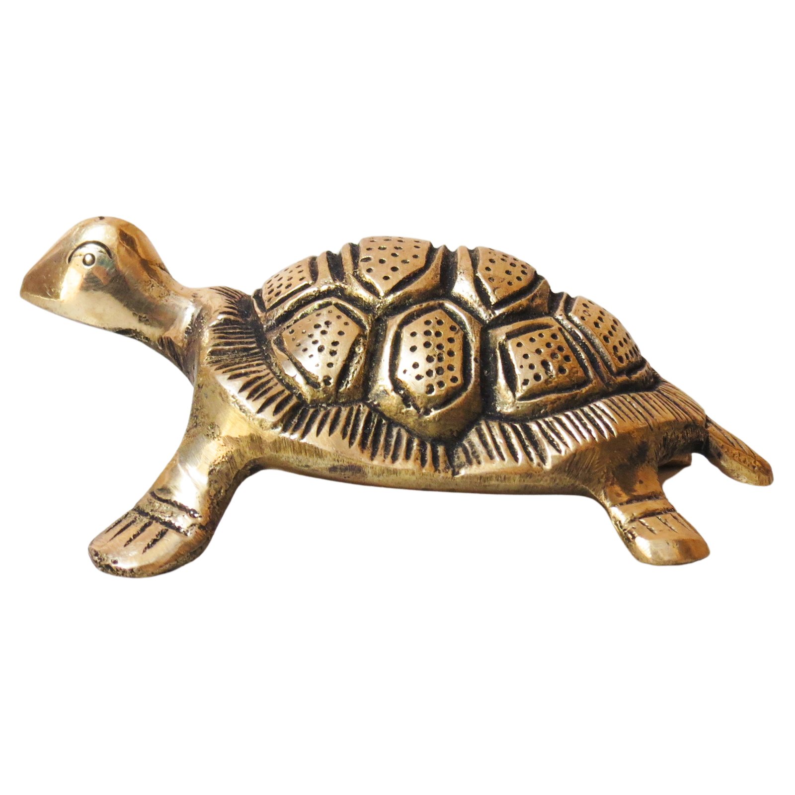 Brass Tortoise BH08847_6 Brass Tortoise