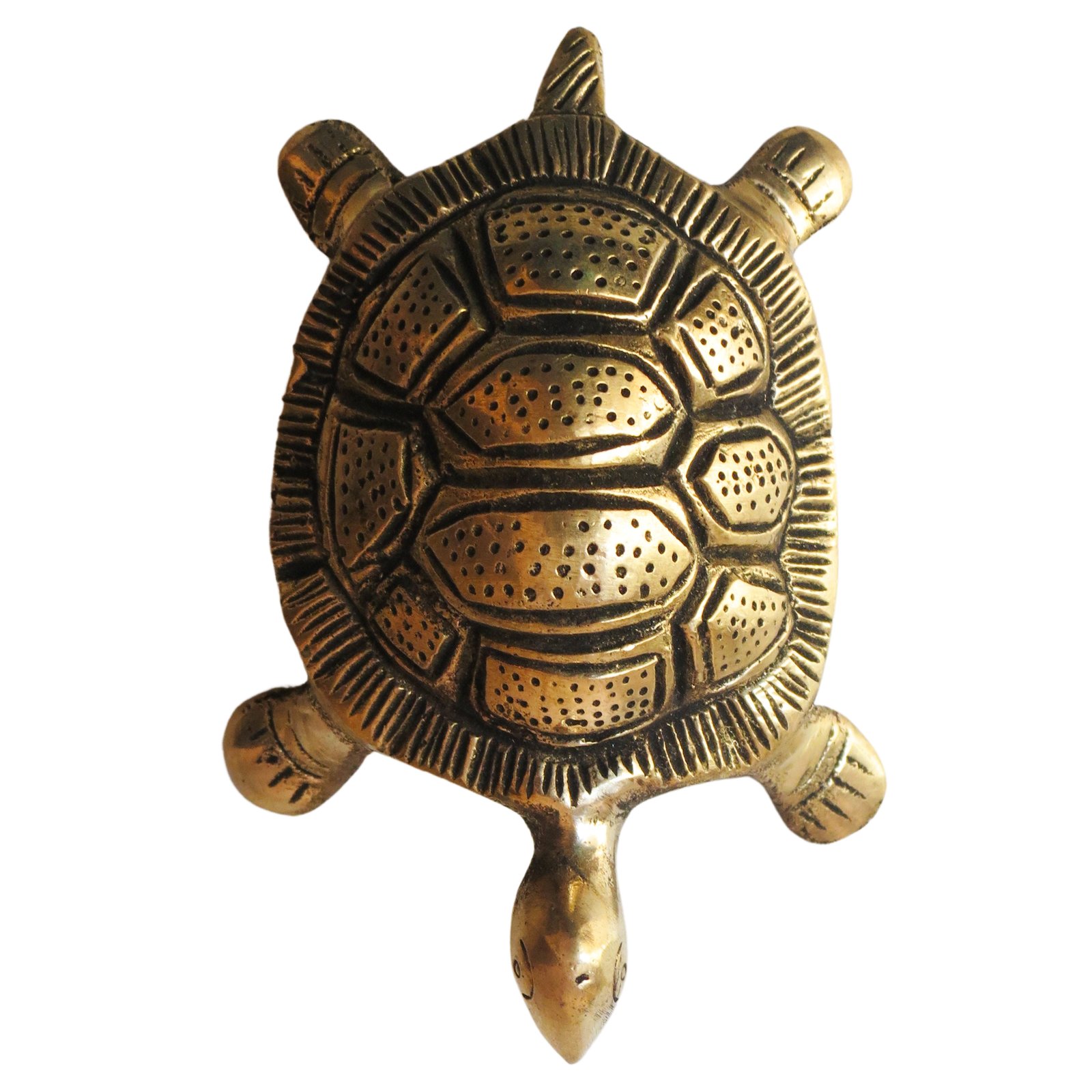 Brass Tortoise BH08847_7 Brass Tortoise