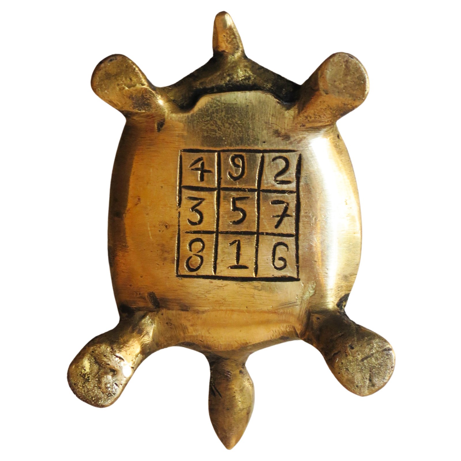 Brass Tortoise BH08847_8 Brass Tortoise