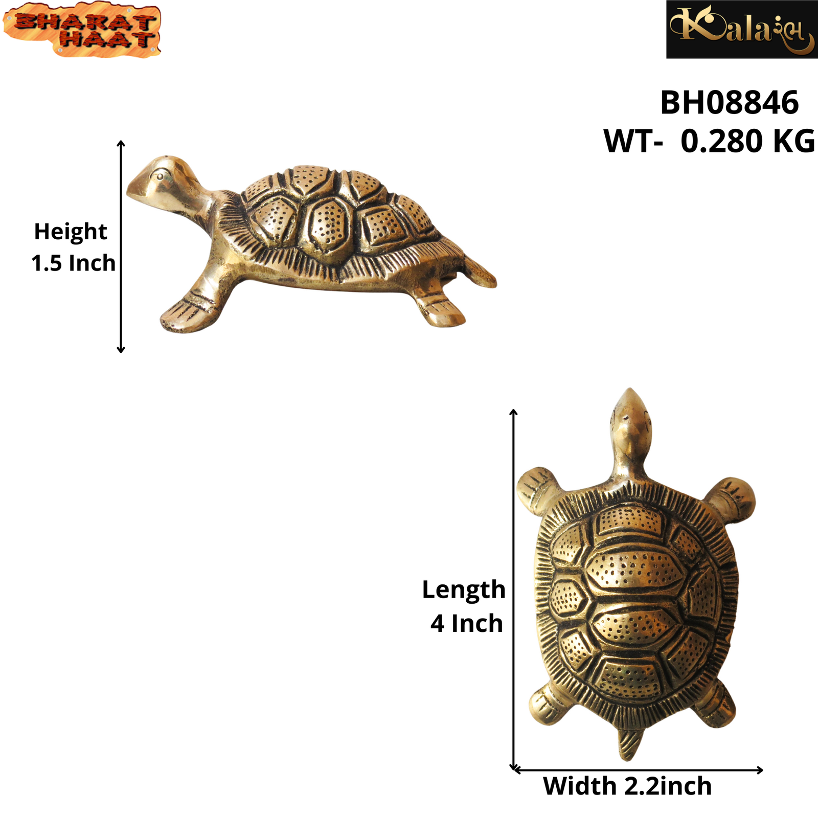 Brass Tortoise BH08847_S Brass Tortoise