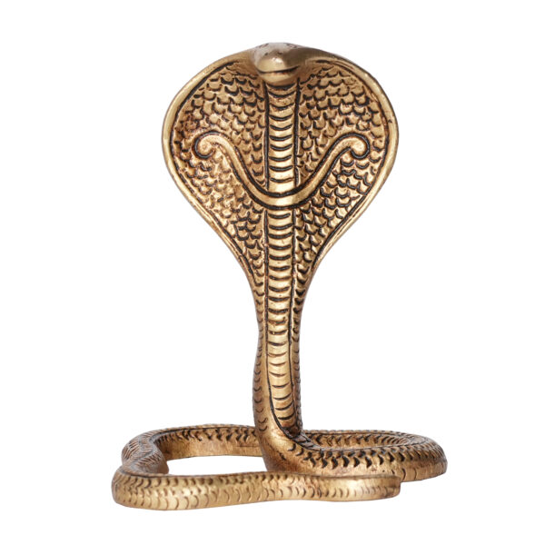 Brass Snake 4.5 Inch KBH09808