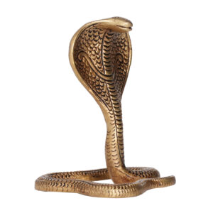 Brass Snake 4.5 Inch KBH09808