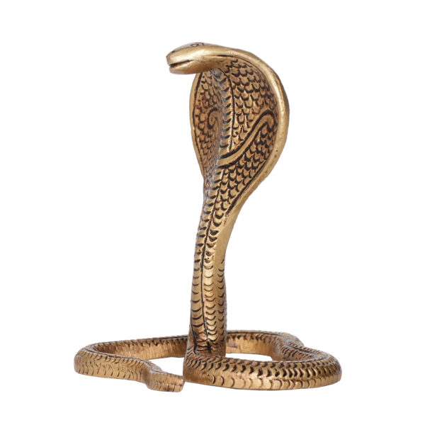 Brass Snake 4.5 Inch KBH09808