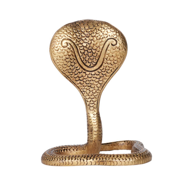 Brass Snake 4.5 Inch KBH09808