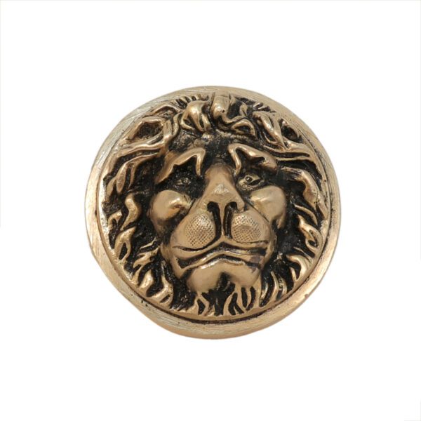 Brass Lion Door Handle 2.8 Inch KBH11276