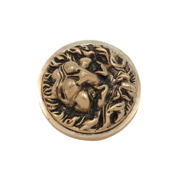 Brass Lion Door Handle 2.8 Inch KBH11276
