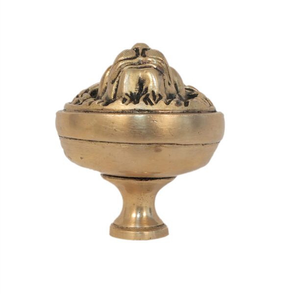 Brass Lion Door Handle 2.8 Inch KBH11276