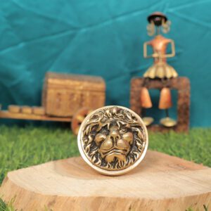 Brass Lion Door Handle 2.8 Inch KBH11276