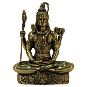 Brass Brass Snkar 3.75 Inch KBH09303