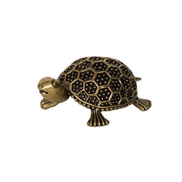 Brass Tortoise 0.5 Inch KBH10150