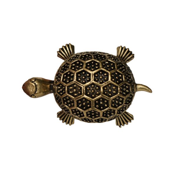 Brass Tortoise 0.5 Inch KBH10150