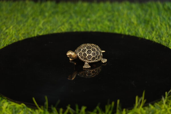 Brass Tortoise 0.5 Inch KBH10150