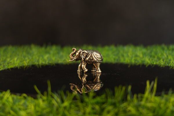 Brass Elephant 1.5 Inch KBH10156